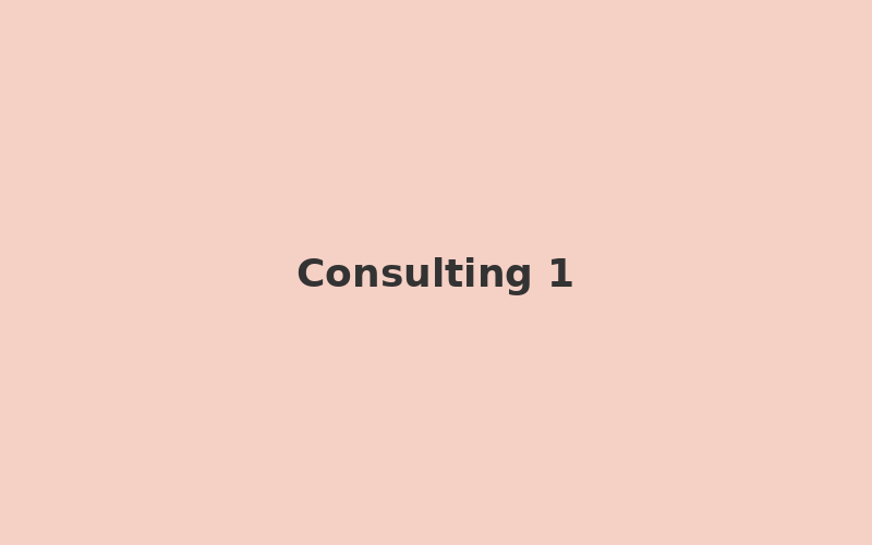 Consulting & Workshops example 1