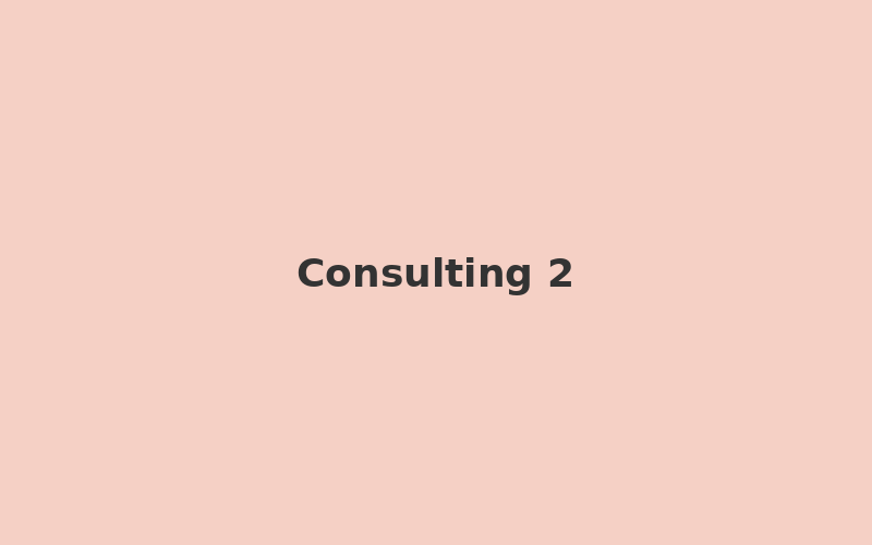 Consulting & Workshops example 2